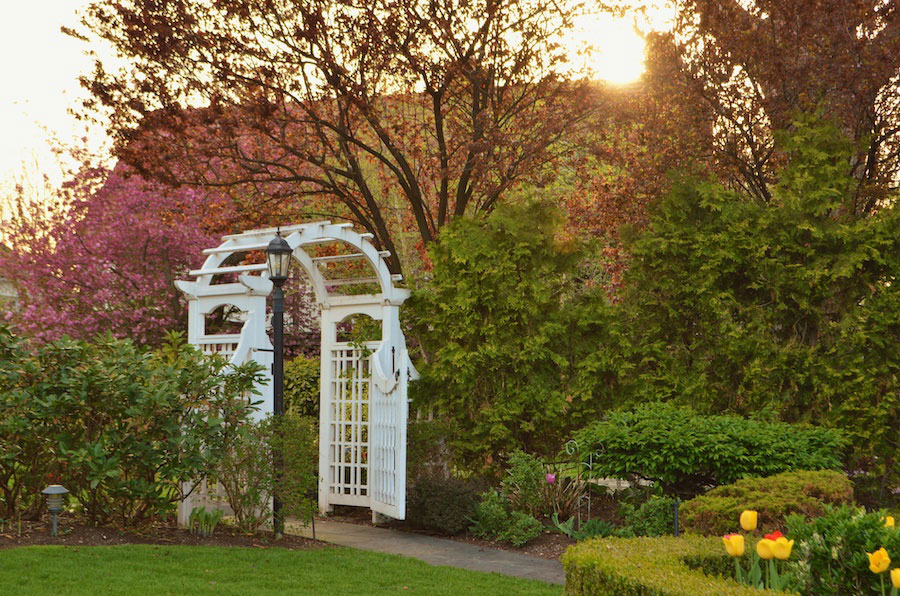 arch-in-backyard