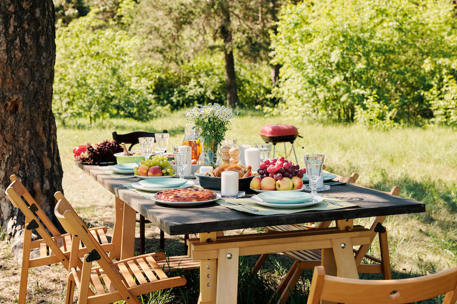 backyard-picnic