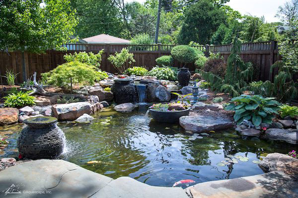 water-pond-backyard